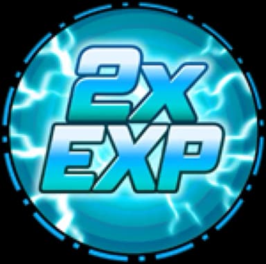 EXP 2x