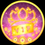 VIP lifetime